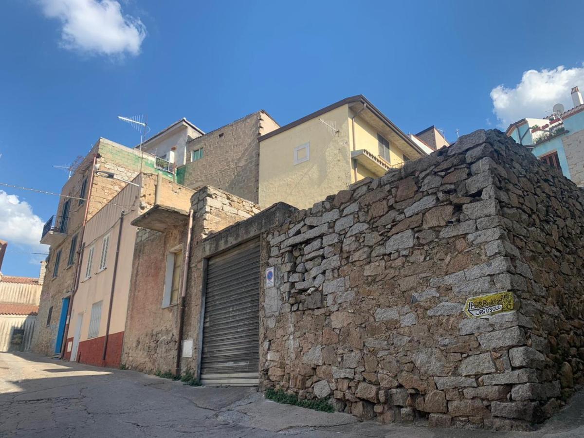 Orgosolo B&B Sardegna المظهر الخارجي الصورة