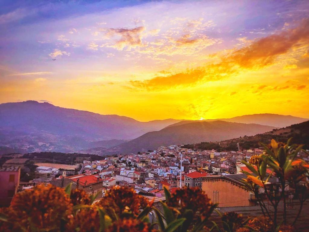 Orgosolo B&B Sardegna المظهر الخارجي الصورة
