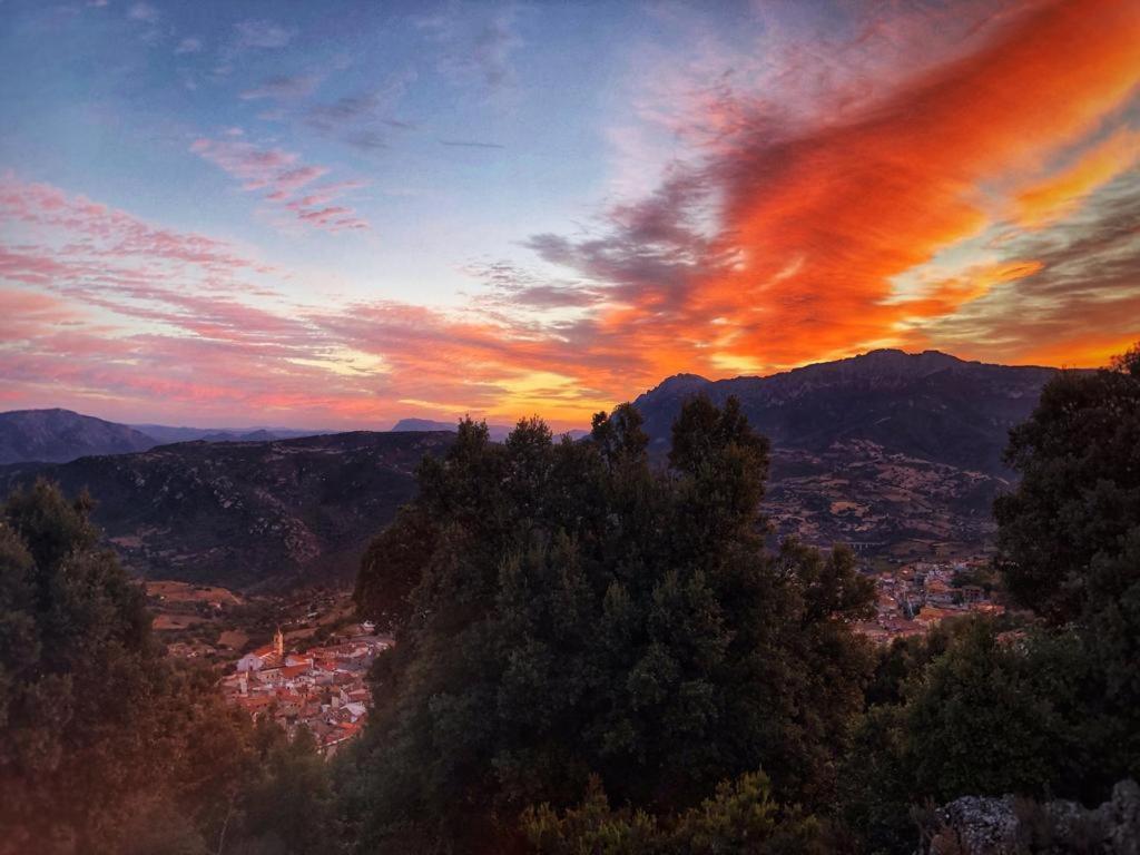 Orgosolo B&B Sardegna المظهر الخارجي الصورة