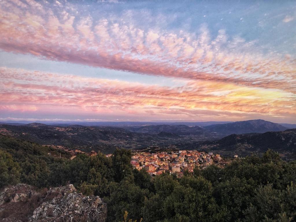 Orgosolo B&B Sardegna المظهر الخارجي الصورة