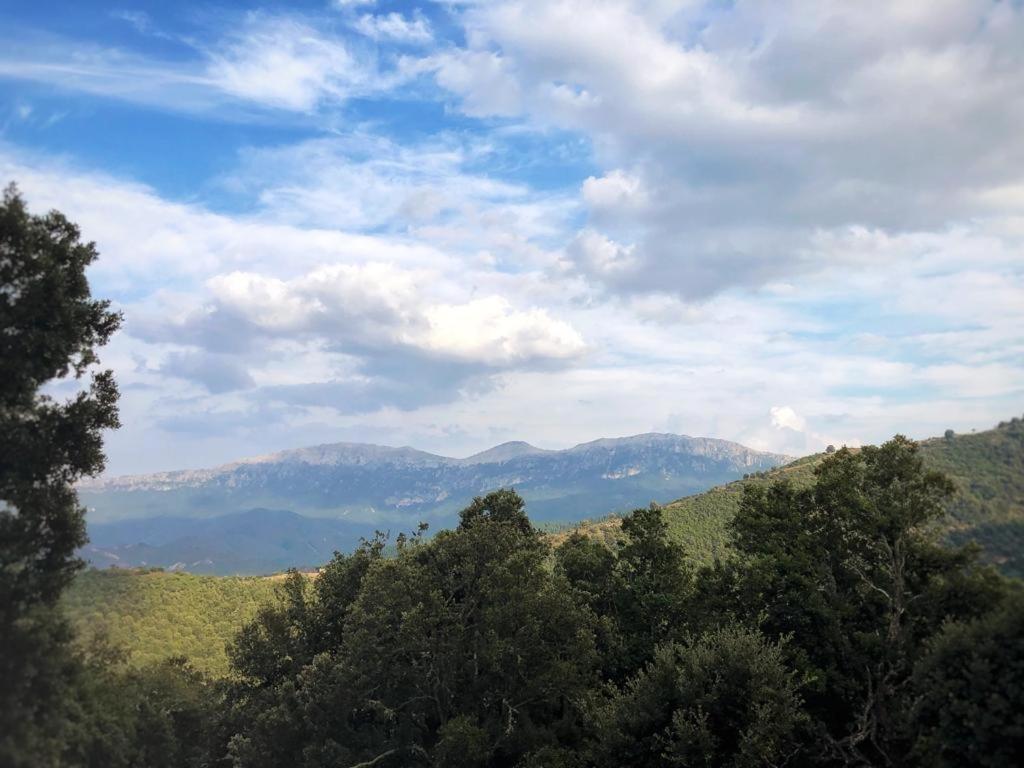 Orgosolo B&B Sardegna المظهر الخارجي الصورة